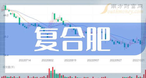 復合肥龍頭上市公司 共四家 2024 8 23