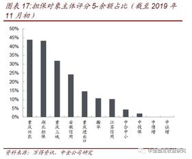 透過(guò)城投和非國(guó)企債擔(dān)保解析擔(dān)保公司 專(zhuān)業(yè)擔(dān)保公司信用風(fēng)險(xiǎn)跟蹤 一