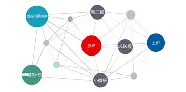 臺(tái)州信保基金成立五年,累計(jì)承保金額突破300億元,為客戶節(jié)省保費(fèi)近7億元
