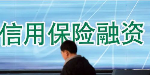 信用保證險業(yè)績經(jīng)歷 過山車 去年保費(fèi)大增80 至112億元,增信功能受重視